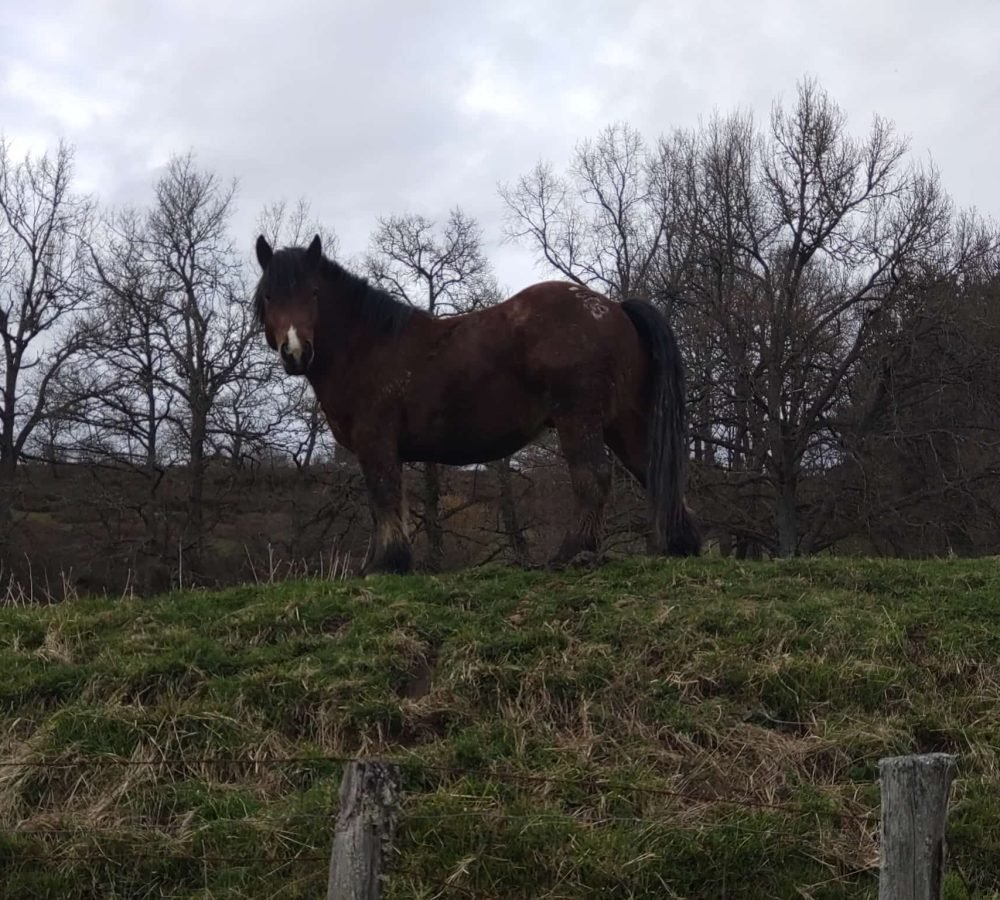 PHOTO-2025-03-06-06-49-08[1]