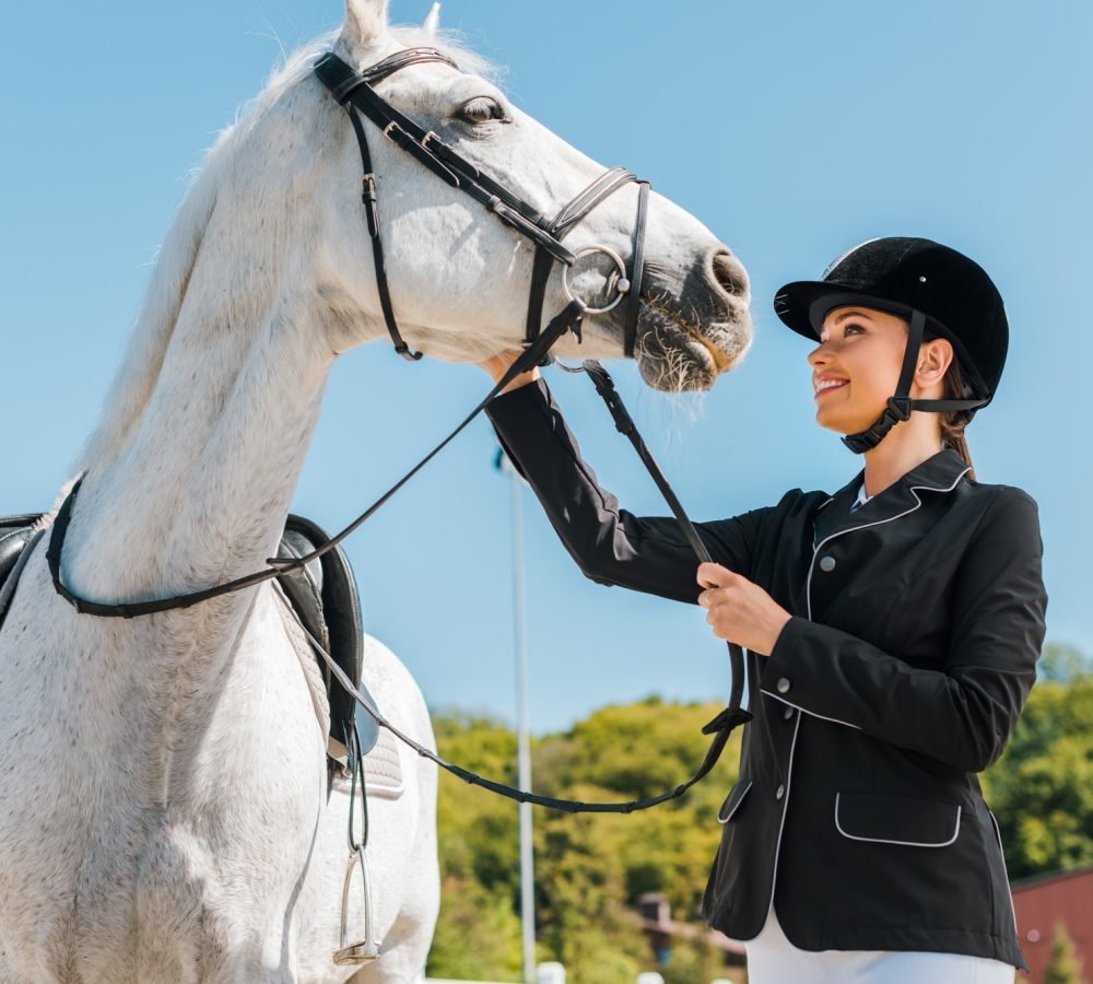attractive-female-equestrian-palming-horse-at-horse-club.jpg attractive-female-equestrian-palming-horse-at-horse-club.jpg