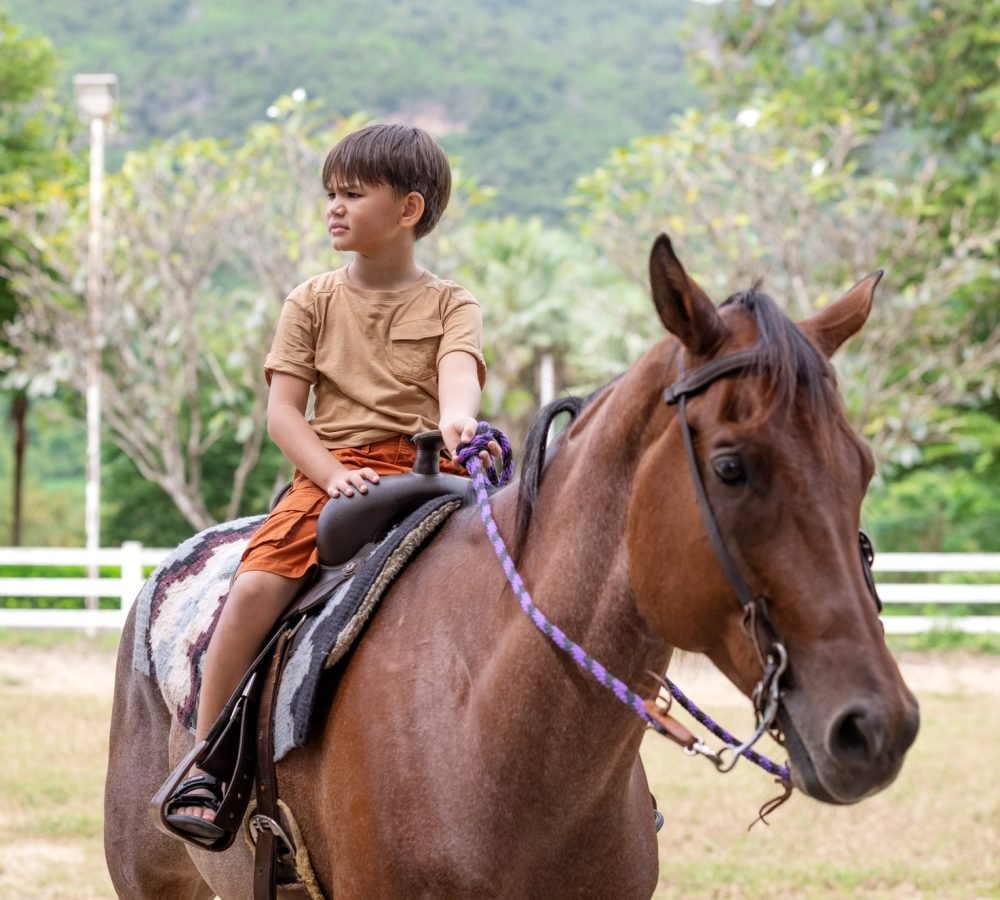 portrait-of-little-boy-riding-a-horse.jpg portrait-of-little-boy-riding-a-horse.jpg