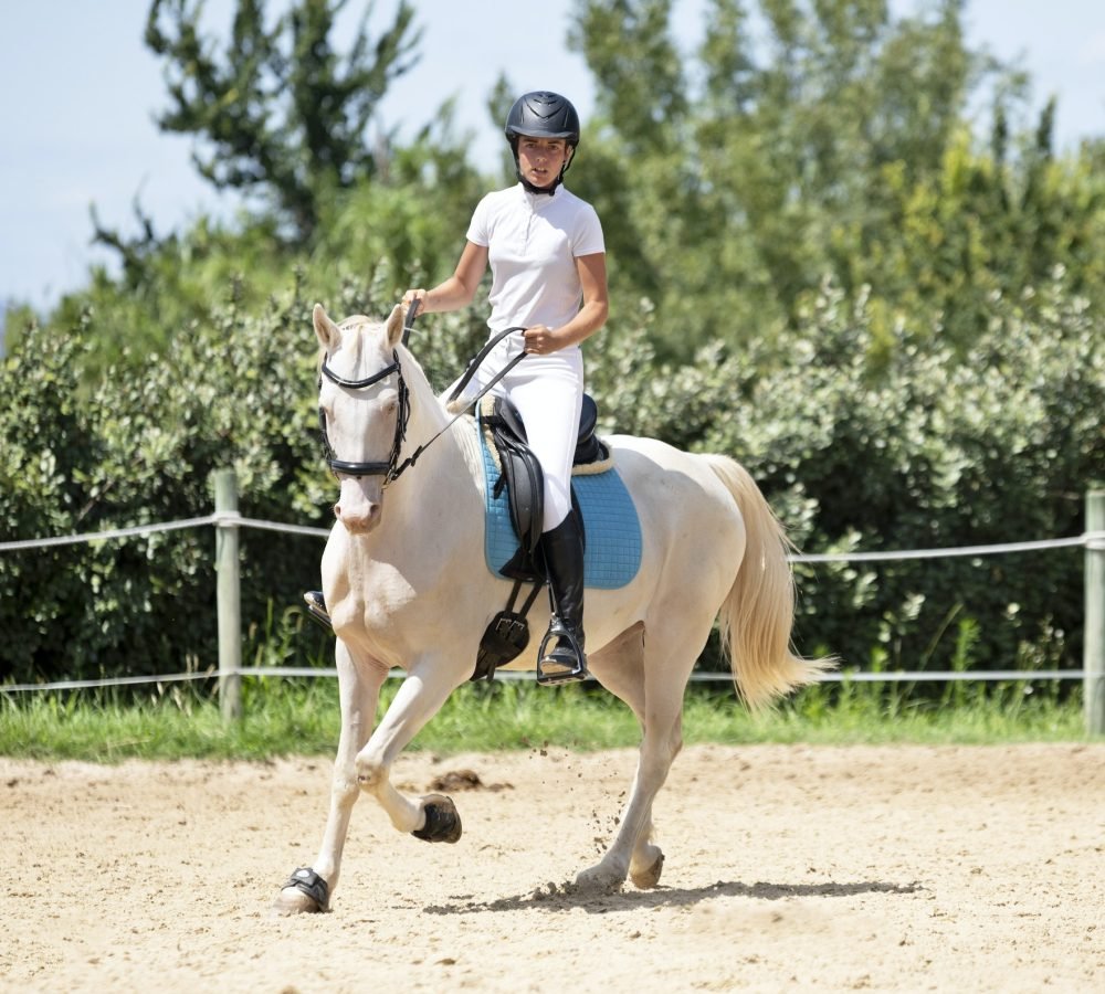 riding-girl-and-horse-1.jpg riding-girl-and-horse-1.jpg
