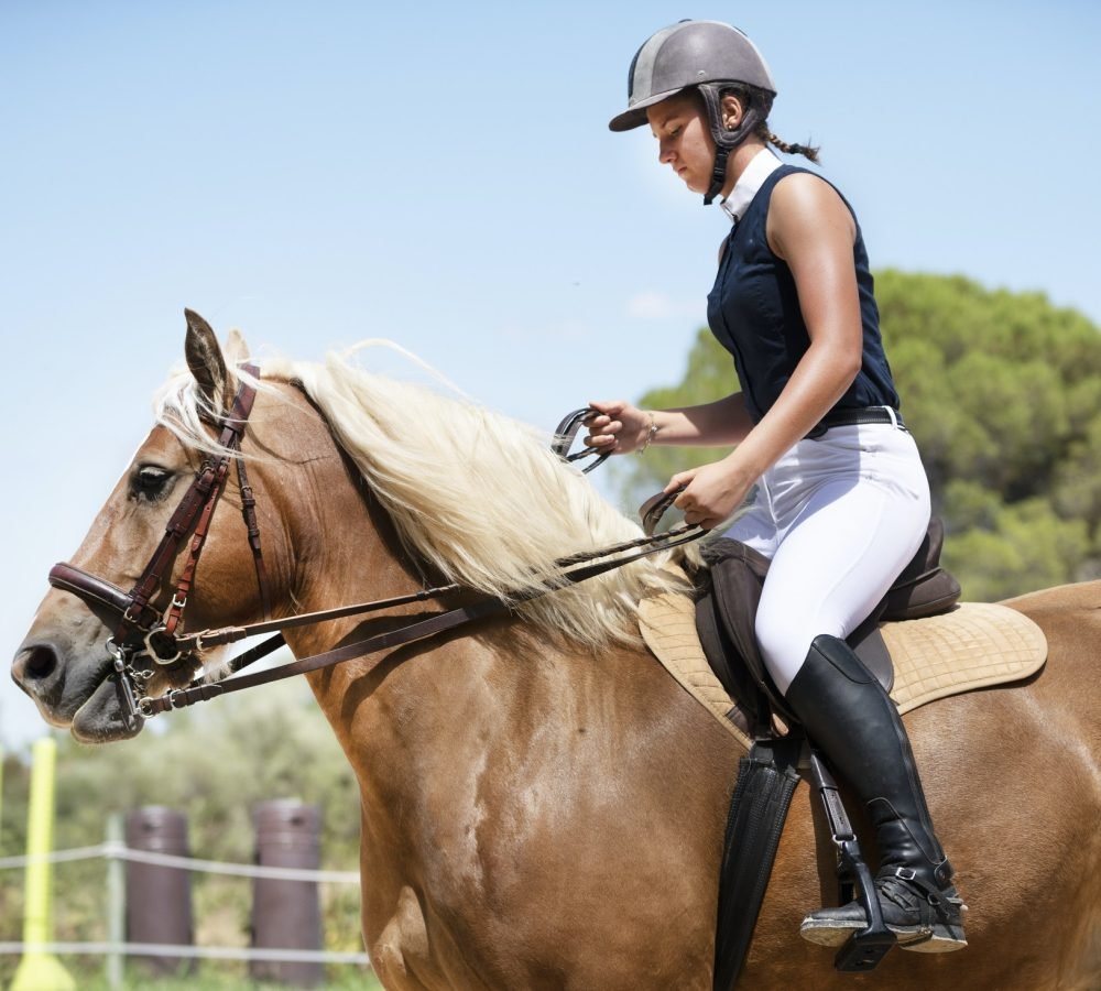 riding-girl-and-horse.jpg riding-girl-and-horse.jpg